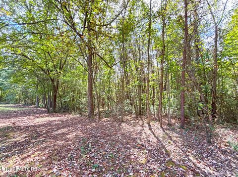 Tiny photo for 00 County Road 812, Etowah, TN 37331 (MLS # 1317648)