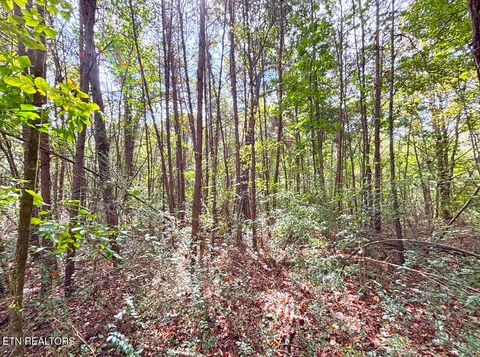 Tiny photo for 00 County Road 812, Etowah, TN 37331 (MLS # 1317648)