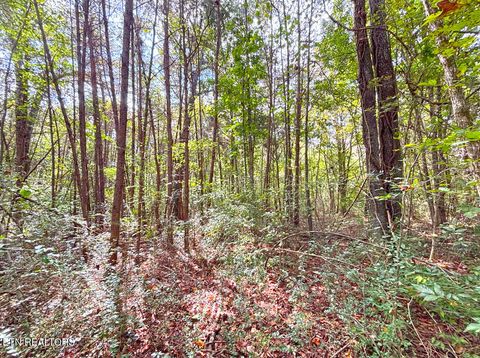 Tiny photo for 00 County Road 812, Etowah, TN 37331 (MLS # 1317648)
