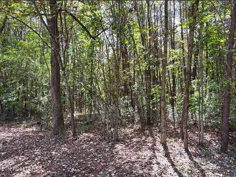 Tiny photo for 00 County Road 812, Etowah, TN 37331 (MLS # 1317648)