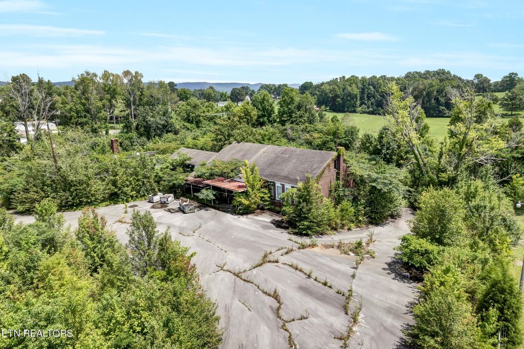 Photo of 141 Odd Fellow Cemetery Rd, Rockwood, TN 37854 (MLS # 1273015)