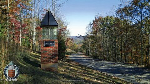 Photo of Lot 8 Sheerwater Rd, Kingston, TN 37763 (MLS # 1320304)