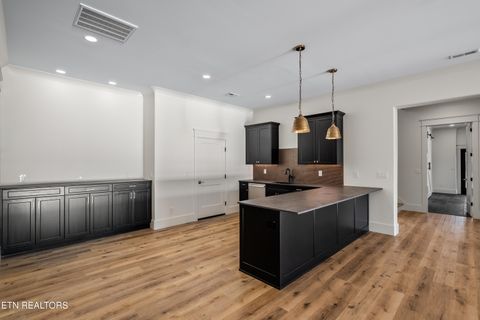 Tiny photo for 155 Amblecrest Drive, Vonore, TN 37885 (MLS # 1336016)