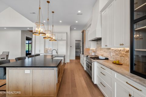 Tiny photo for 155 Amblecrest Drive, Vonore, TN 37885 (MLS # 1336016)