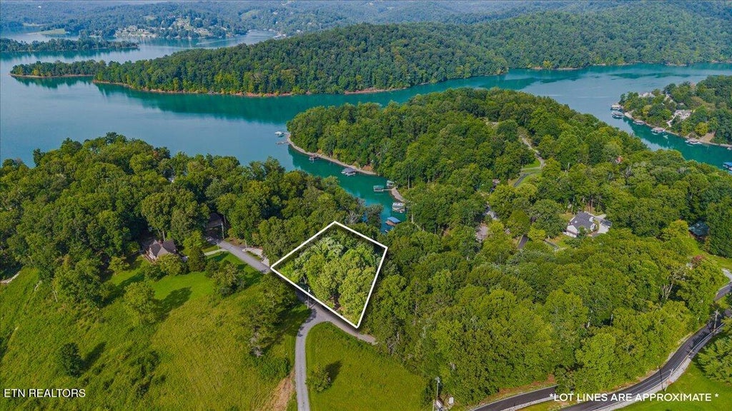 Photo of 910 Big Pine Point, LaFollette, TN 37766 (MLS # 1352187)