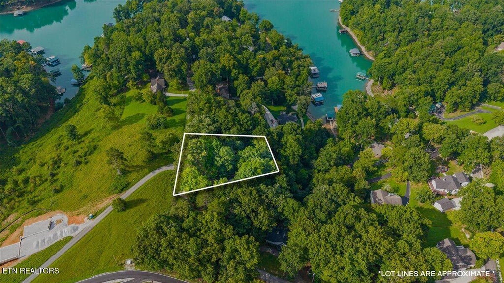 Photo of 910 Big Pine Point, LaFollette, TN 37766 (MLS # 1352187)