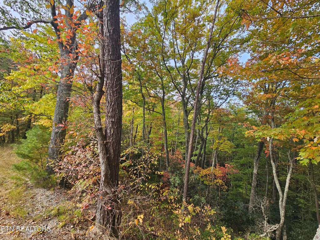 Photo of Denton Court, Sevierville, TN 37862 (MLS # 1321568)