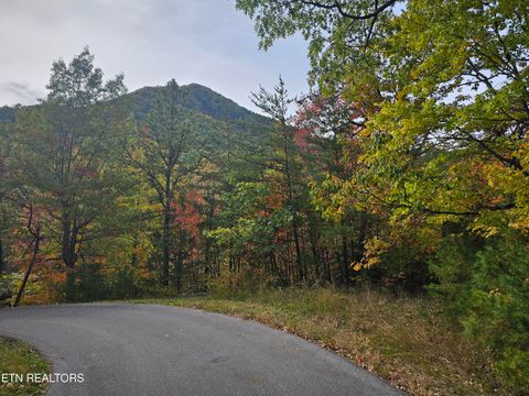 Photo of Denton Court, Sevierville, TN 37862 (MLS # 1321568)