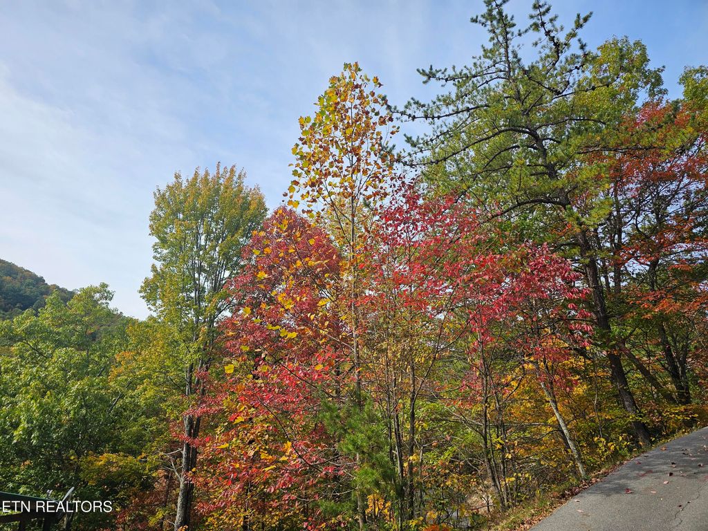 Photo of Denton Court, Sevierville, TN 37862 (MLS # 1321568)