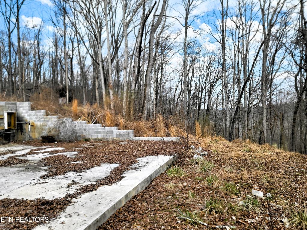 Photo of 771 County Road 188, Decatur, TN 37322 (MLS # 1331122)