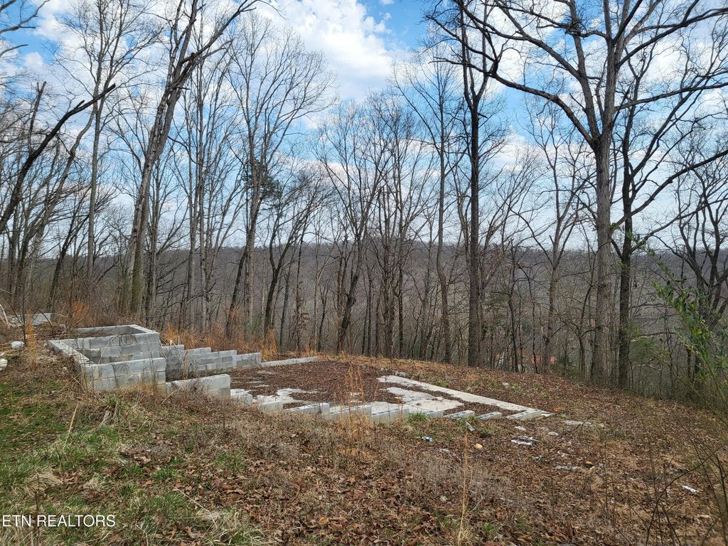 Photo of 771 County Road 188, Decatur, TN 37322 (MLS # 1331122)