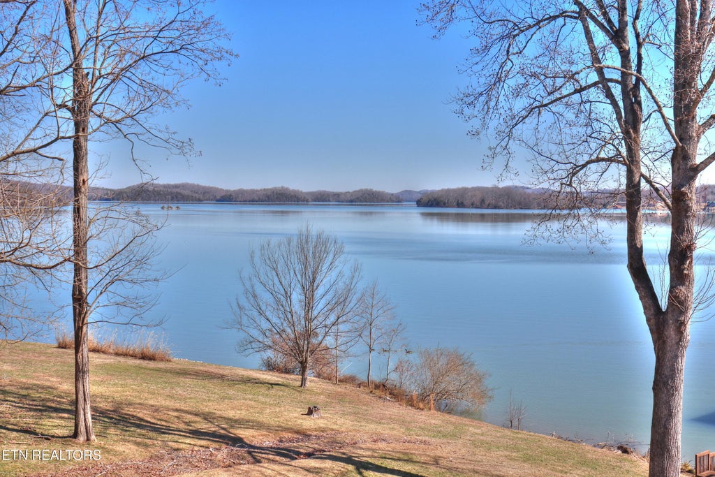 Photo of 1012 Ewing Rd, Spring City, TN 37381 (MLS # 1291913)