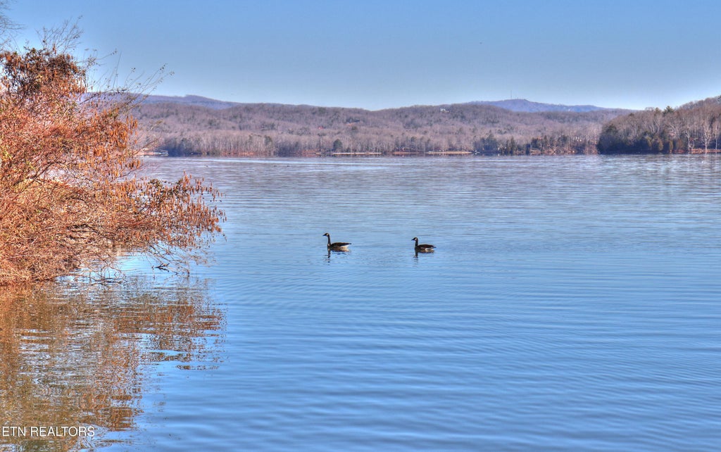 Photo of 1012 Ewing Rd, Spring City, TN 37381 (MLS # 1291913)