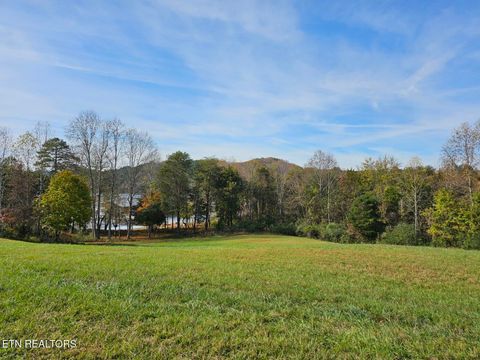 261 White Swan Drive Vonore TN 37885