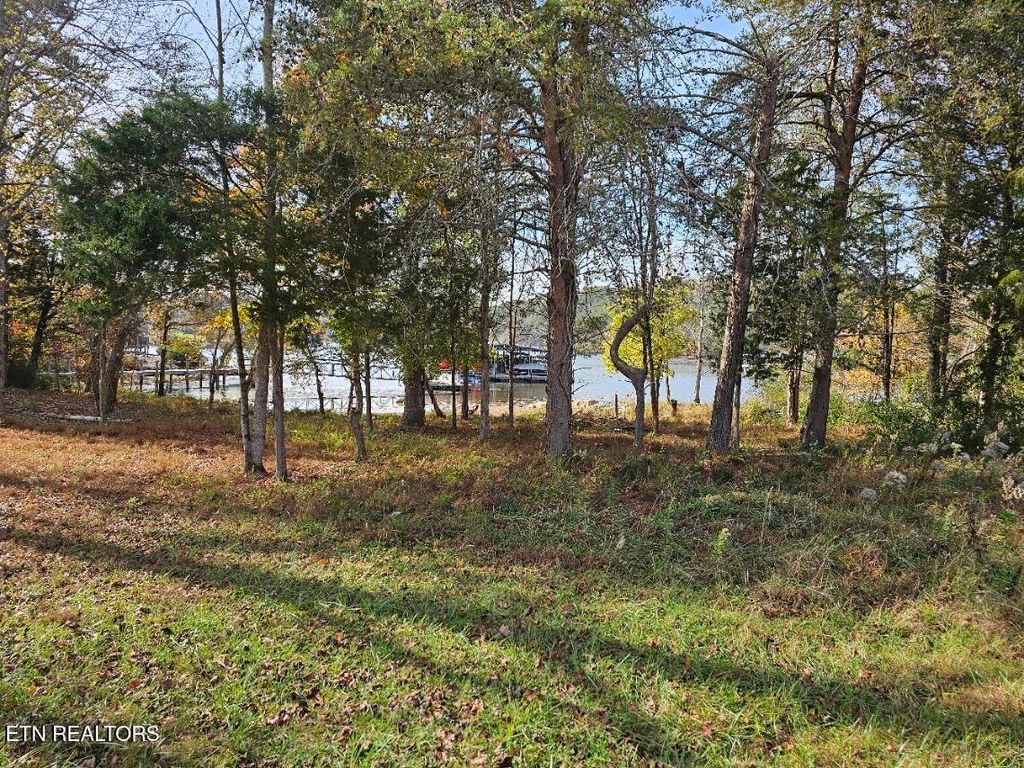 Photo of 261 White Swan Drive, Vonore, TN 37885 (MLS # 1282918)