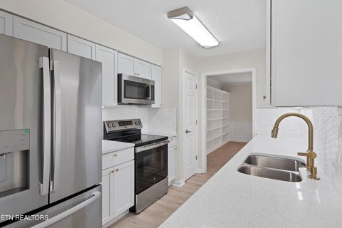 Tiny photo for 3901 S Lake Blvd, Knoxville, TN 37920 (MLS # 1324181)