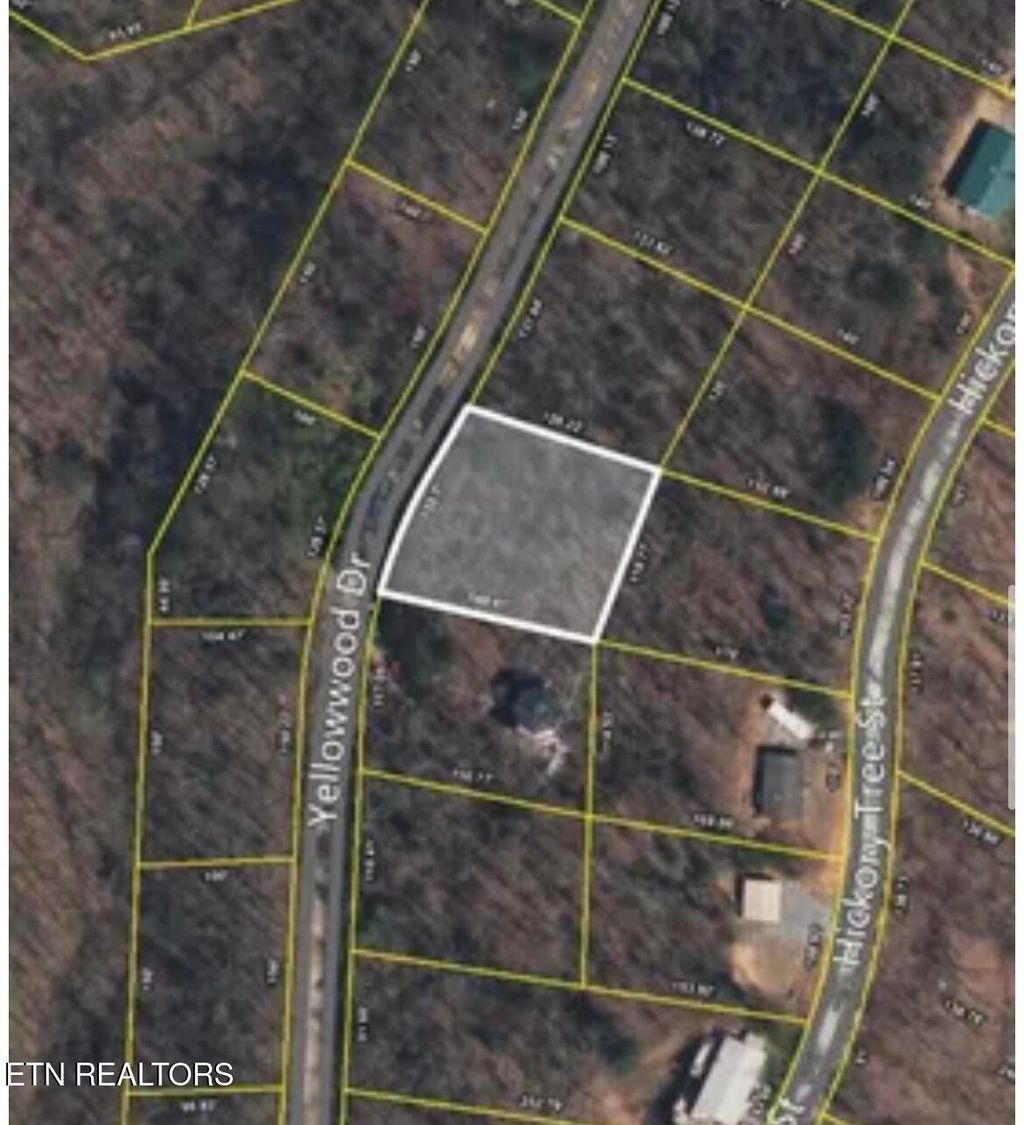 Photo of 50 Yellowwood Drive, Sevierville, TN 37876 (MLS # 1345235)