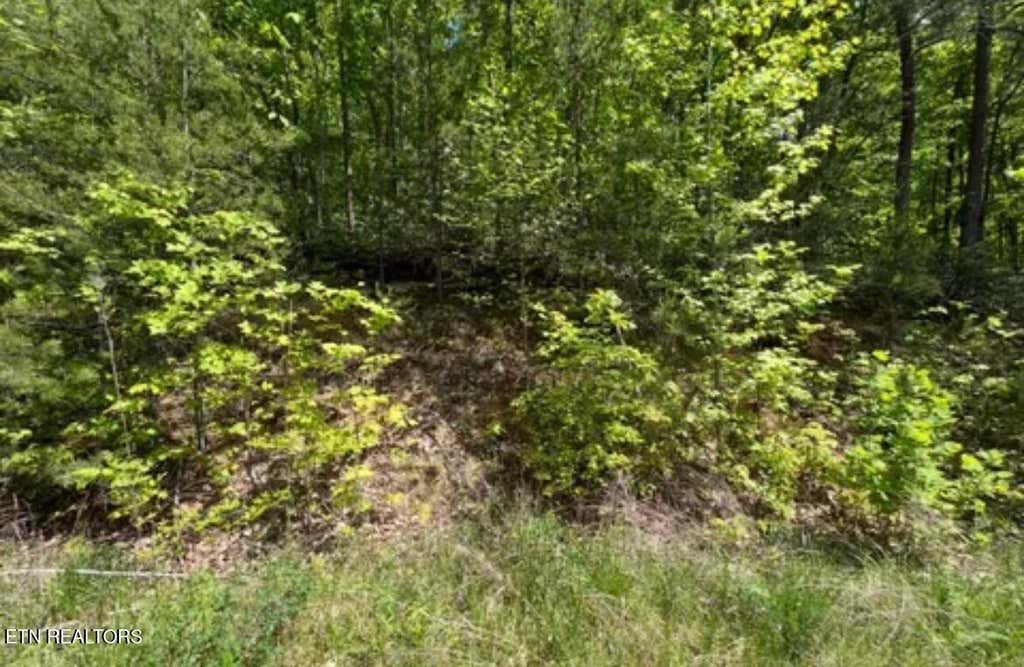 Photo of 50 Yellowwood Drive, Sevierville, TN 37876 (MLS # 1345235)