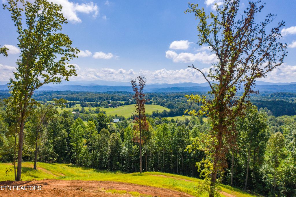 Photo of 135 Gamble Gap Rd Rd, Tellico Plains, TN 37385 (MLS # 1270894)