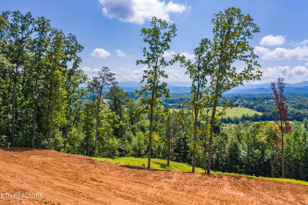 Photo of 135 Gamble Gap Rd Rd, Tellico Plains, TN 37385 (MLS # 1270894)