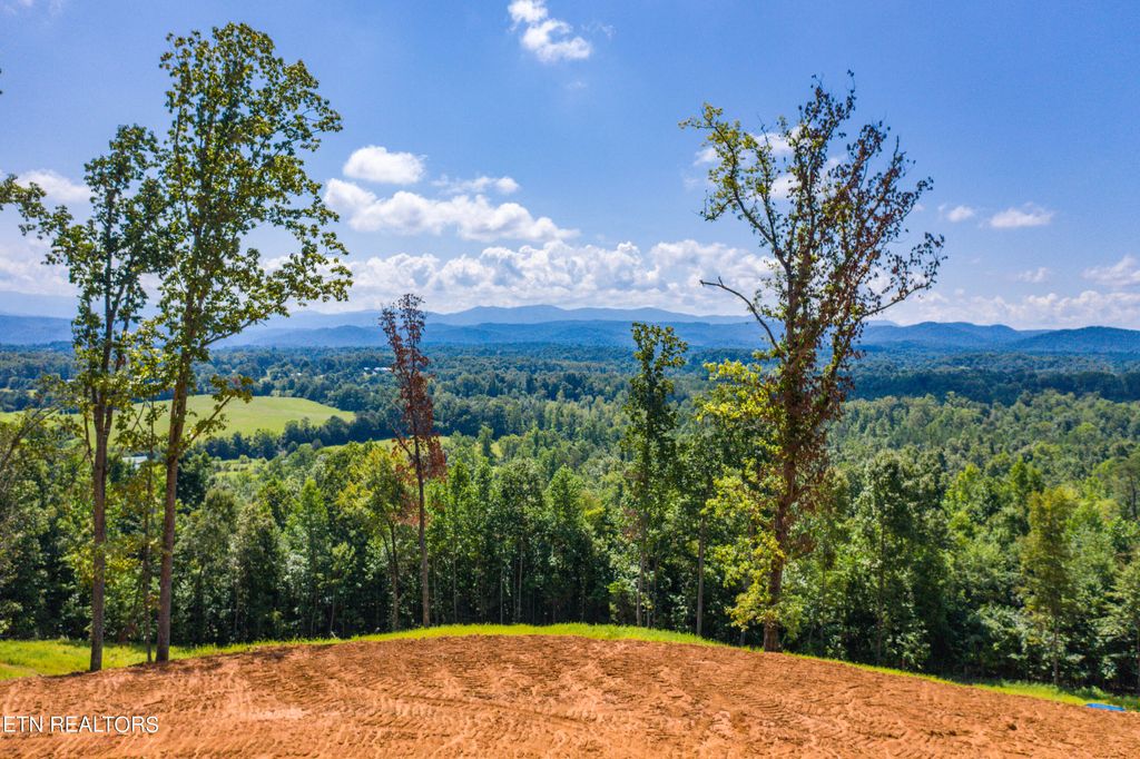 Photo of 135 Gamble Gap Rd Rd, Tellico Plains, TN 37385 (MLS # 1270894)