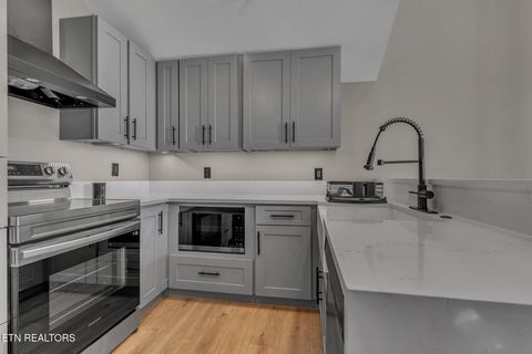 Tiny photo for 105 W Jackson Ave Ave #9, Knoxville, TN 37902 (MLS # 1326173)