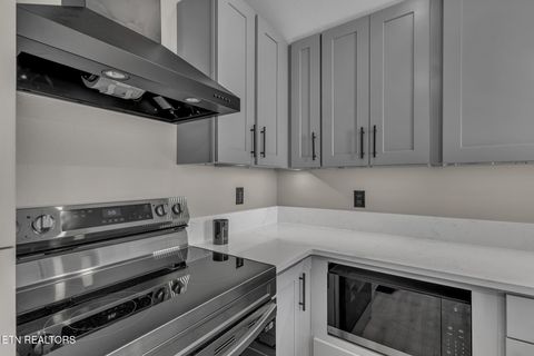 Tiny photo for 105 W Jackson Ave Ave #9, Knoxville, TN 37902 (MLS # 1326173)