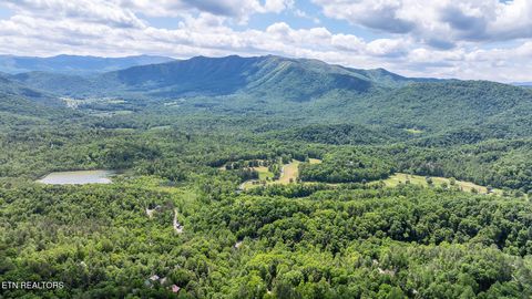 Tiny photo for Ace Gap Rd, Townsend, TN 37882 (MLS # 1325220)