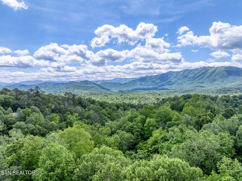 Tiny photo for Ace Gap Rd, Townsend, TN 37882 (MLS # 1325220)
