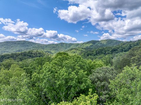 Tiny photo for Ace Gap Rd, Townsend, TN 37882 (MLS # 1325220)