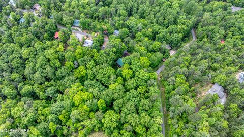 Tiny photo for Ace Gap Rd, Townsend, TN 37882 (MLS # 1325220)