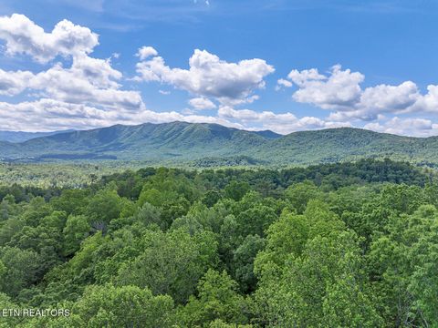 Tiny photo for Ace Gap Rd, Townsend, TN 37882 (MLS # 1325220)