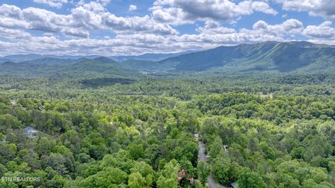 Tiny photo for Ace Gap Rd, Townsend, TN 37882 (MLS # 1325220)
