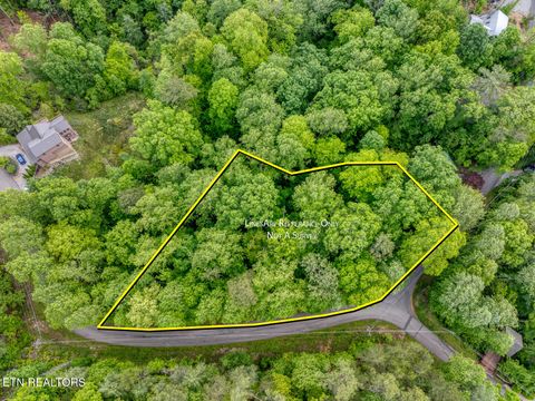 Photo of Ace Gap Rd, Townsend, TN 37882 (MLS # 1325220)