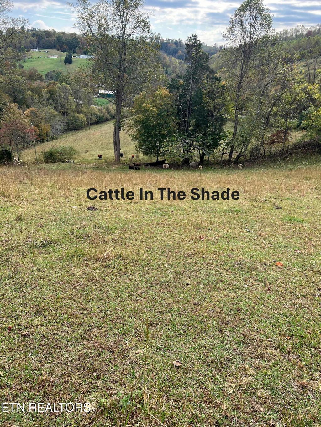 Photo of TBD Paul Trent Rd, Sneedville, TN 37869 (MLS # 1319519)