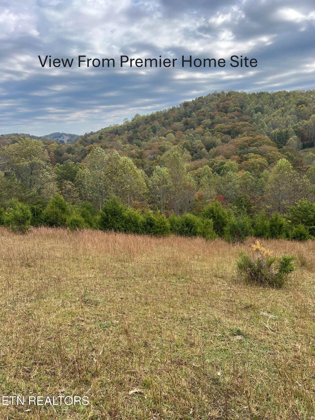 Photo of TBD Paul Trent Rd, Sneedville, TN 37869 (MLS # 1319519)