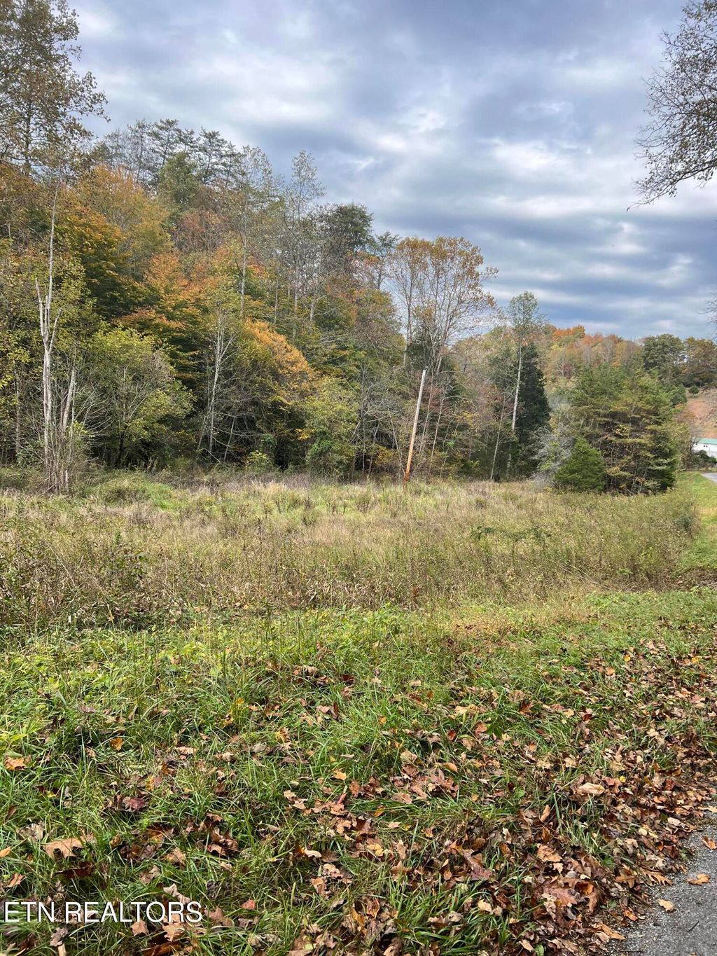 Photo of TBD Paul Trent Rd, Sneedville, TN 37869 (MLS # 1319519)