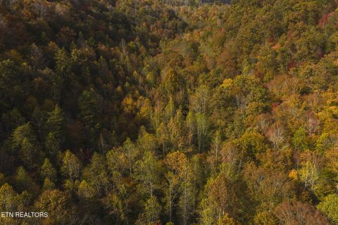 Photo of 0 Livesay Chapel Rd, Kyles Ford, TN 37765 (MLS # 1320948)