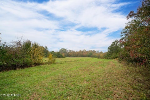 Tiny photo for 164 County Road 635, Athens, TN 37303 (MLS # 1360465)