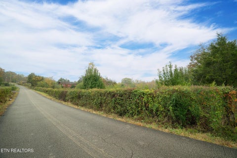 Tiny photo for 164 County Road 635, Athens, TN 37303 (MLS # 1360465)