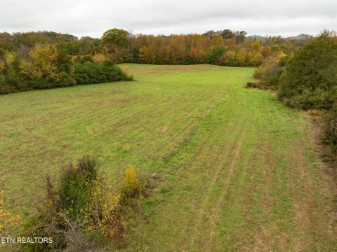 Tiny photo for 164 County Road 635, Athens, TN 37303 (MLS # 1360465)