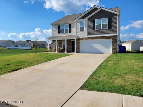 1116 Janice Lane Talbott TN 37877