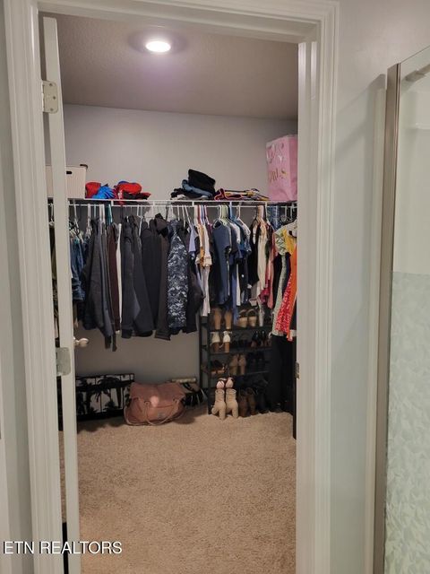 Tiny photo for 1116 Janice Lane, Talbott, TN 37877 (MLS # 1329466)