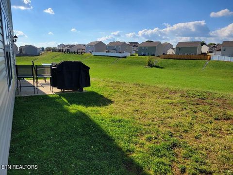 Tiny photo for 1116 Janice Lane, Talbott, TN 37877 (MLS # 1329466)