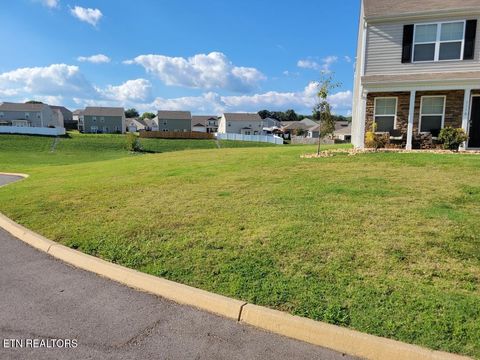 Tiny photo for 1116 Janice Lane, Talbott, TN 37877 (MLS # 1329466)