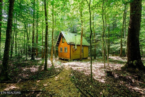 Tiny photo for 755 Bear Branch Rd, Wartburg, TN 37887 (MLS # 1355547)