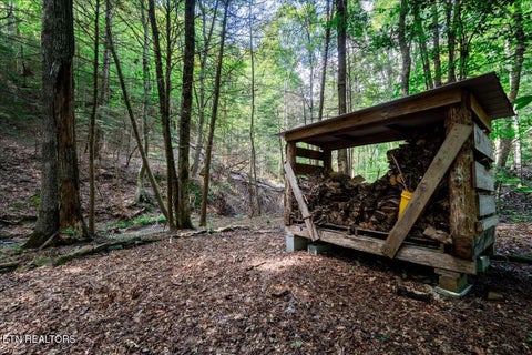 Tiny photo for 755 Bear Branch Rd, Wartburg, TN 37887 (MLS # 1355547)