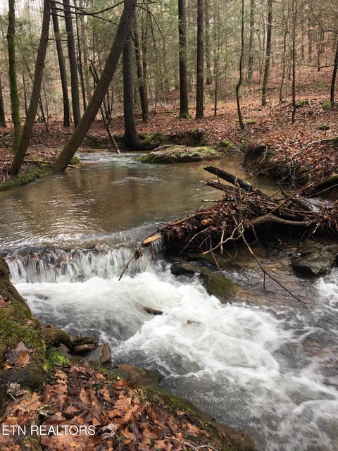 Tiny photo for 755 Bear Branch Rd, Wartburg, TN 37887 (MLS # 1355547)