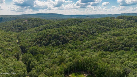 Tiny photo for 755 Bear Branch Rd, Wartburg, TN 37887 (MLS # 1355547)
