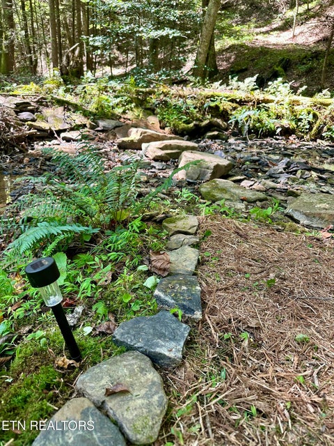 Tiny photo for 755 Bear Branch Rd, Wartburg, TN 37887 (MLS # 1355547)